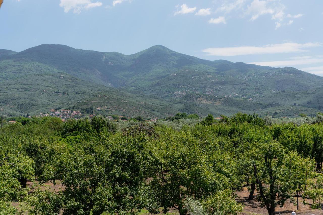 Karavos Grove Villa Káto Lekhónia Exteriör bild